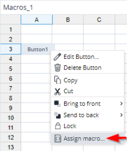 Assign macro button screenshot